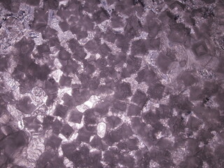 Salt crystals up to the light. The texture of the crystals.