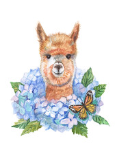 Llama and hydrangeas handmade watercolors