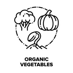 Organic Vegetables Bio Food Vector Icon Concept. Pumpkin, Broccoli And Growing Sprout, Natural Agricultural Vegetables, Healthcare Eco Delicious Vegetarian Nutrition Black Illustration