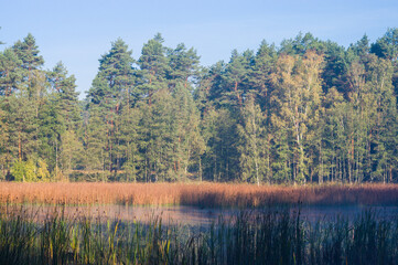 Widok na staw  w lesie © Sebastian