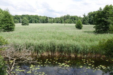 Impressionen vom Nationalpark Müritz in Mecklenburg