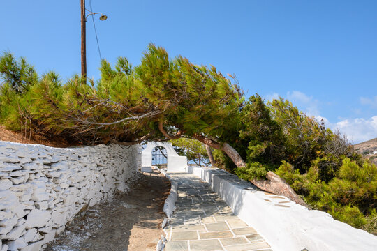 Amazing vegetation in front of the church of Agia Irini (Saint Irene) near the port of Ios. Cyclades, Greece