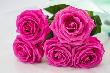 bouquet of pink roses on a white
