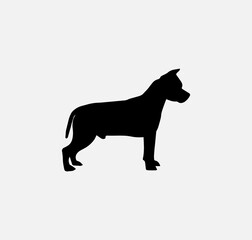 silhouette of a pit bull. vector illustration