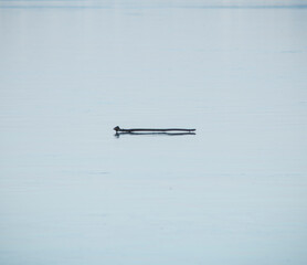 minimalistic composition of a wooden stick on an ice covered lake