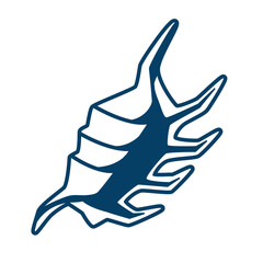 Illustration of seashell.