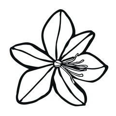  logo of a single flower asphodel circuit