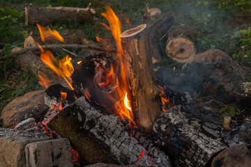 campfire in the forest
