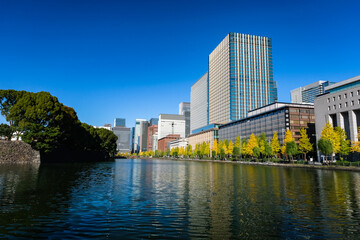 東京都 秋の丸の内高層ビル群と日比谷濠