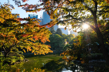 東京都 紅葉の染まる日比谷公園  雲形池