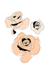 Vector Illustration of Abstract Flower Line Art with Color Background. Good for Cover, Poster, Card, and other.