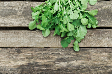 green fresh organic spinach leaves straight from the garden.wooden backdrop.growing vegetables, healthy lifestyle