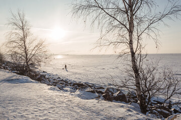 Picturesque winter scenery with people walking on icy Finnish Gulf in Saint Petersburg, Russia.
