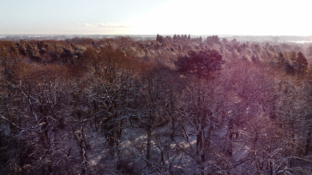 Sun set over forest wood land scene, aerial drone