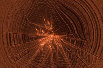 Abstract wood part of a trunk with annual rings