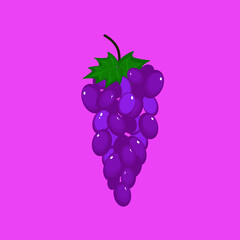grapes on a pink background