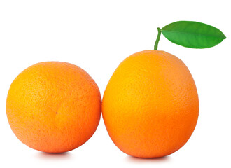 Oranges isolated on the white background