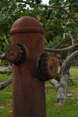 Fire hydrant within green area