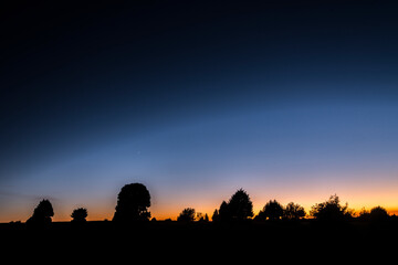 sunset with silhouette of trees