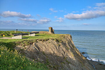 Stunning view of cliffy seascape, old black cannons, yellow flowers, and Black Castle ruins, South Quay, Corporation Lands, Co. Wicklow, Ireland. Wicklow coastal line