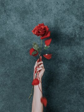 Bloody Rose In Hand