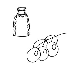 Set of cosmetic oil and grapes, vector illustration, sketch