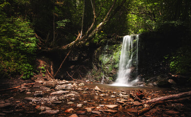 waterfall in the forest