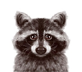 portrait of cute gray white black raccoon. Animal head drawn by hand, cute drawing on a white background