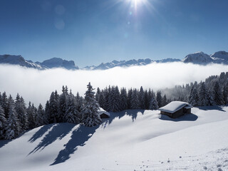 Winter landscape of the Schamserberg and Piz Beverin nature park.