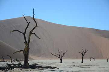 Salz-To-Pfanne im Sossusvlei in der Namib