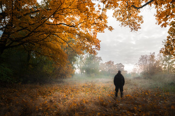 autumn in the park