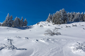 Fototapeta premium Winter view of Vitosha Mountain, Sofia City Region, Bulgaria
