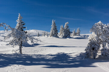 Winter view of Vitosha Mountain, Sofia City Region, Bulgaria