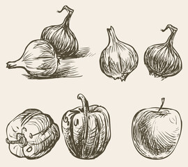 Sketches of sweet pepper, onion and apple