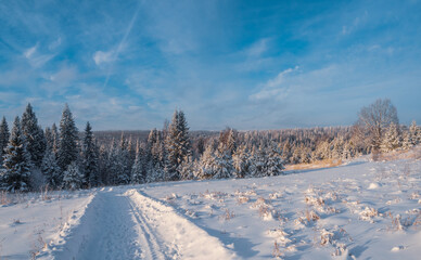 Snowy road at  winter Stone Hill park in frosty sunny evening. Winter country road with fir forest...