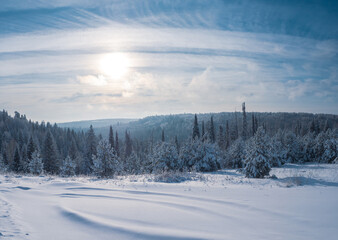 Panorama of winter Stone Hill park in sunlight. Snow-covered conifer forest on a high hill in frosty winter day. Frozen grass and trees in the rays of cold winter Sun.
