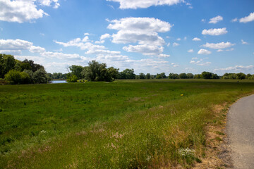 View of healthy nature on the river Mulde taken from the Mulderadweg cycle path between the cities of Grimma and Wurzen, Germany, Europe