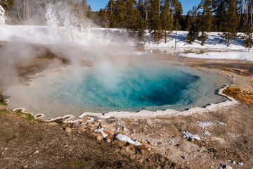 Hot Spring Yellowstone National Park