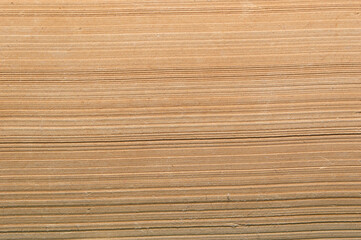 paper texture of old yellowed book sheets