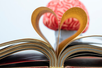 Love to read or learn language concept, brain and book pages folded into heart shape 