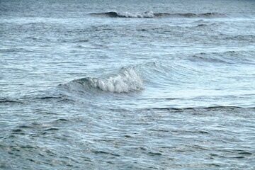 wave of the sea, detail of the ocean on a windy day. swell and tides