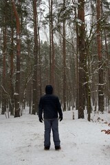 Naklejka premium Single man walking in frozen snowy forest. Winter panorama landscape with trees covered with snow, foggy day. Cold winter walk in nature. A lonely nan in the woods. Watching nature.