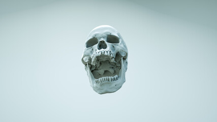 Human skull with an open lower jaw on a Dark isolated background. The concept of death, immortality, eternal life, horror. Acult symbol. Spooky Halloween symbol. 3D render