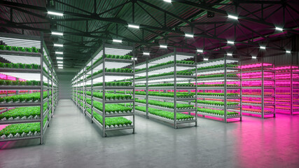 Hydroponic indoor vegetable plant factory in exhibition space warehouse. Interior of the farm hydroponics. Green salad farm in hydroponics. Lettuce Roman with led lightning. Concrete floor. 3D render