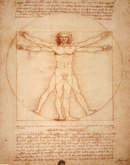 Leonardo DaVinci's Vitruvian Man, Uomo Vitruviano, illustrated - obrazy, fototapety, plakaty