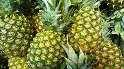 Obraz premium Fresh pineapple background. Exotic ananas on farmers market. Retail industry. Discount. Grocery shopping. Healthy eating. Greengrocer. Natural food. Green backdrop.