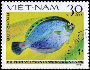  Postage stamp issued in the Vietnam with the image of the Chinese Brill, Tephrinectes sinensis....