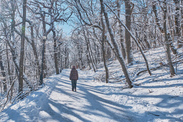 A senior woman in a brown jacket, pink fur cap walking alone in a winter snowy park.