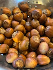 hazelnuts in a bowl from Corsica France