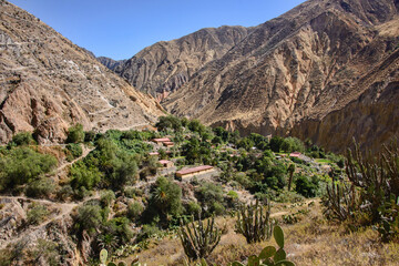 Aerial view of the Sangalle Oasis in the Colca Canyon, Peru